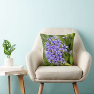 Portugiesische Squill-Blume Schließen Naturschutzg Kissen