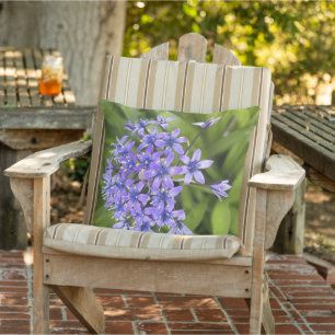 Portugiesische Squill-Blume Schließen Naturschutzg Kissen