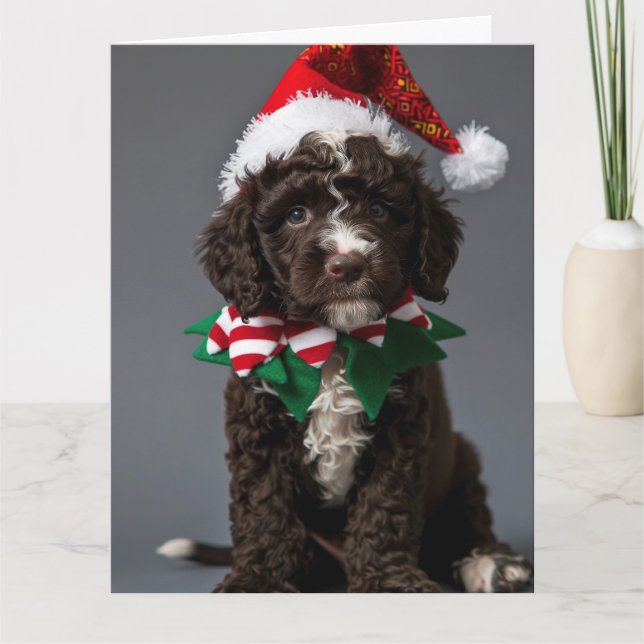 Portugiesische Wasser Dog Elf Welpe Weihnachtskart Karte (Vorderseite)