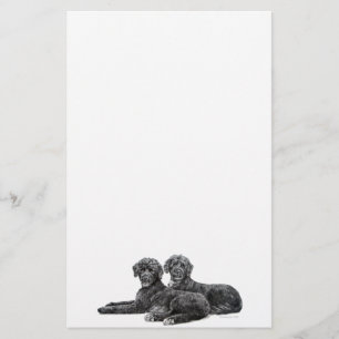 Portugiesische Wasser-Hunde Briefpapier