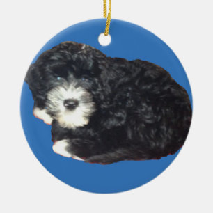 Portugiesische Wasser-Hundeverzierung Keramikornament