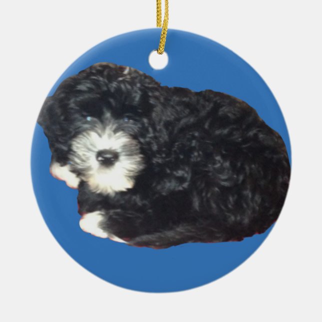 Portugiesische Wasser-Hundeverzierung Keramikornament (Vorne)
