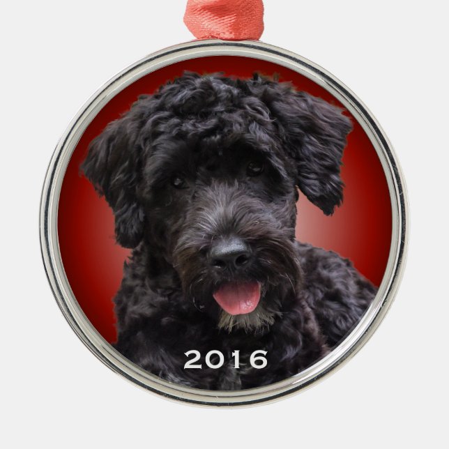 Portugiesische Wasser-Hundeverzierungs-rote Silbernes Ornament (Vorne)