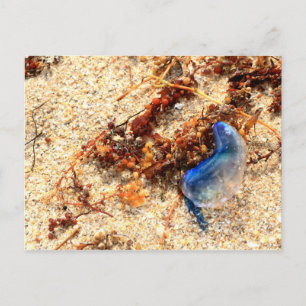 Portugiesischer Mann im Krieg #2 Postkarte