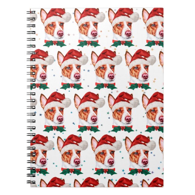 Portugiesischer Podengo Dog Breed Christmas Stars Notizblock (Vorderseite)