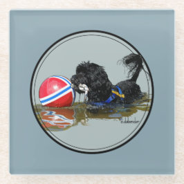 Portugiesischer Wasser-Hund mit Bojen-Ball 2 Glasuntersetzer