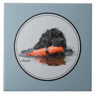 Portugiesischer Wasser-Hund mit orange Stoßdämpf Fliese