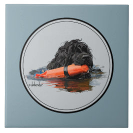 Portugiesischer Wasser-Hund mit orange Stoßdämpfer Fliese