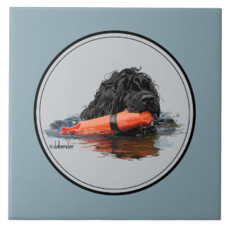 Portugiesischer Wasser-Hund mit orange Stoßdämpfer Fliese