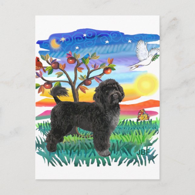 Portugiesischer Wasserdog (#2) Postkarte (Vorderseite)