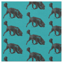 Portugiesischer Wasserdog - Track / Scent Turquois