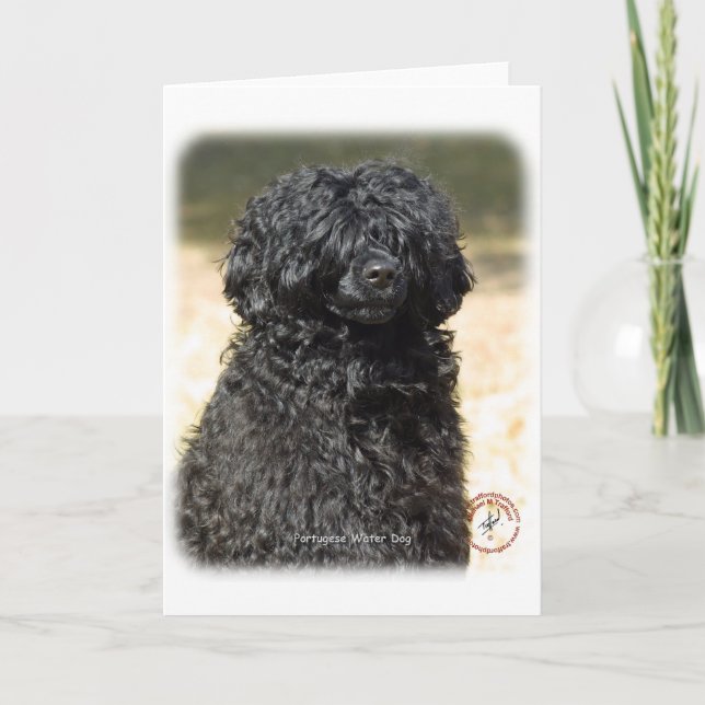 Portugiesischer Wasserhund 9R016D-151 Karte (Vorderseite)