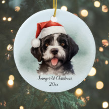 Portugiesischer Wasserhund Erster Weihnachtsfest P