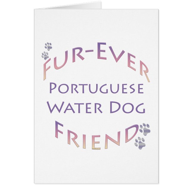 Portugiesischer Wasserhund Furever (Vorne)