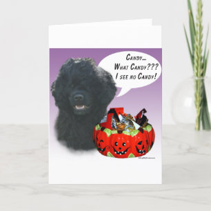 Portugiesischer Wasserhund Halloween Candy Karte