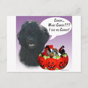 Portugiesischer Wasserhund Halloween Candy Postkarte