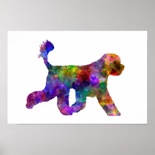Portugiesischer Wasserhund in Aquarell Poster