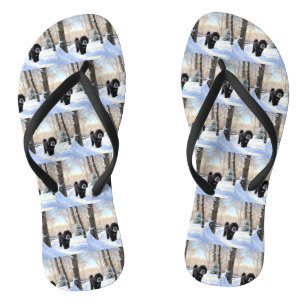 Portugiesischer Wasserhund lässt es zu Weihnachten Flip Flops
