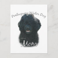 Portugiesischer Wasserhund Mama 2