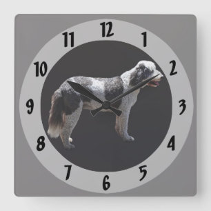 Portugiesischer Wasserhund Quadratische Wanduhr