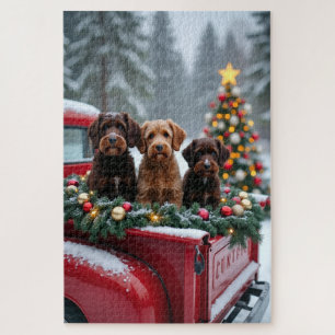 Portugiesischer Wasserhund Weihnachten Rotes Lastw