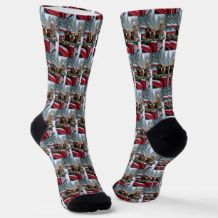 Portugiesischer Wasserhund Weihnachten Rotes Lastw Socken