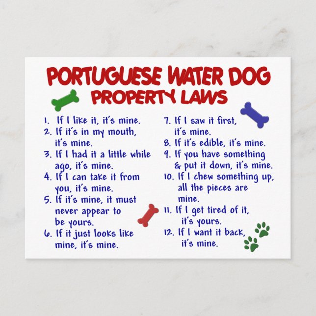 PORTUGIESISCHES WASSER-DOG-Eigentumsrecht 2 Postkarte (Vorderseite)
