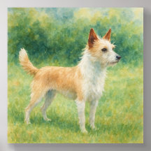 Portuguese Podengo