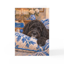 Portuguese Water Dog Hanukkah Card