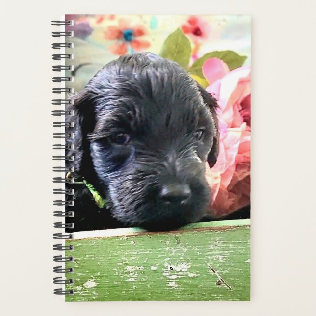 Portuguese Water Dog Planner Sweet Planer (Vorderseite)
