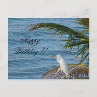 Porzellan Reiher Schneerei Florida stagskarte Postkarte
