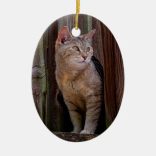 Porzellan-Schmuckstück Katze Achtung Keramik Ornament