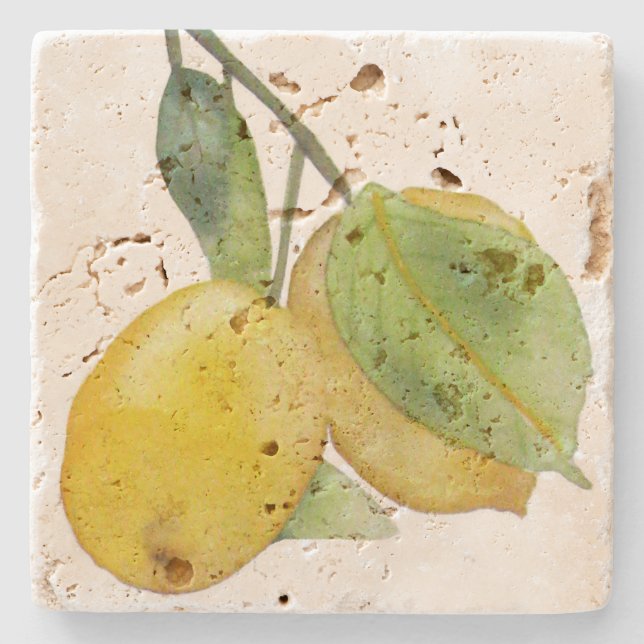 Posavasos con acuarela de limones steinuntersetzer (Vorderseite)