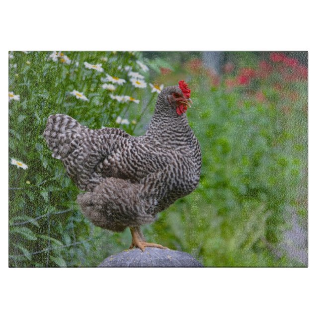 Pose de la planche à découper de poulet (Devant)