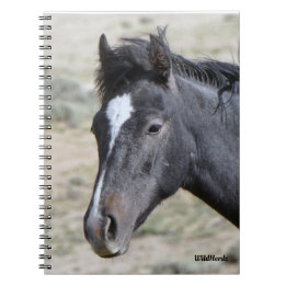 Poseidon-Notebook von Sand Wash Basin Notizblock