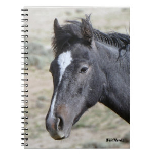 Poseidon-Notebook von Sand Wash Basin Notizblock