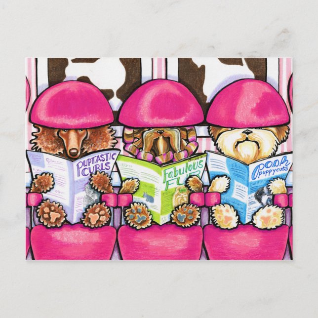 Posh Pup Salon Postkarte (Vorderseite)