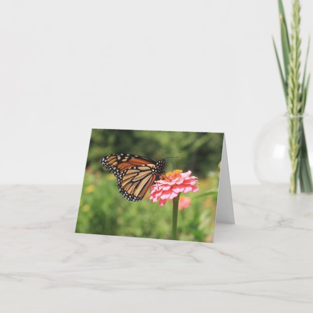 Posierte Monarch Butterfly-Karte Dankeskarte (Vorderseite)