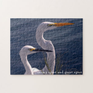 Posing Egrets