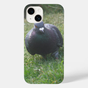 Posing-Taube Case-Mate iPhone Hülle