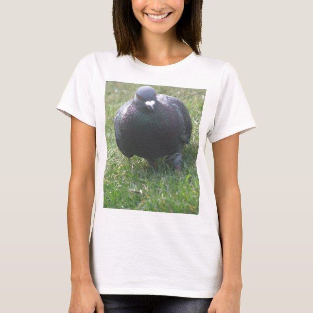 Posing Taube Ladys T Shirt (Vorderseite)