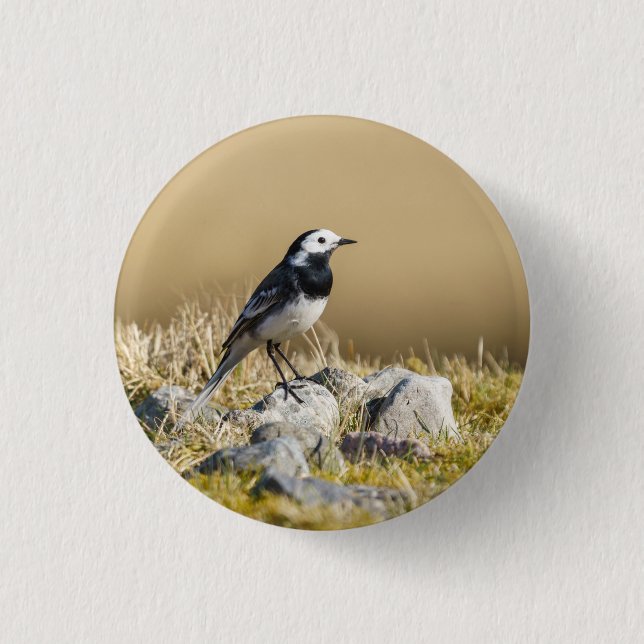 Posing Wagtail Button (Vorderseite)