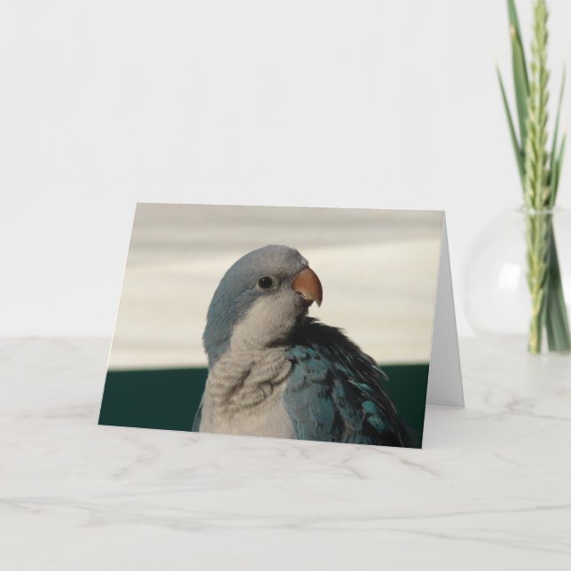 Position für die Kamera Karte (Vorderseite)