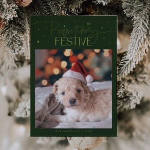 Positiv festlicher Hund Foto grünes Weihnachten