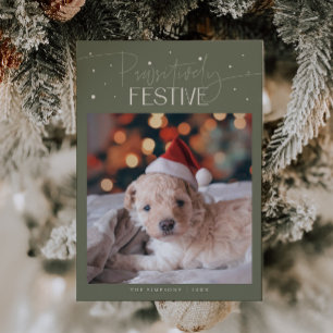 Positiv festlicher Hund Foto Salbei Weihnachten