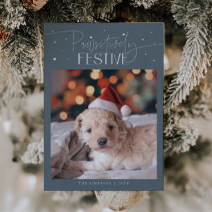Positiv festlicher Hund Foto Schiefer Weihnachten