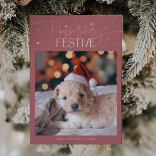 Positiv Festliches Hunde-Foto Rosa Weihnachten