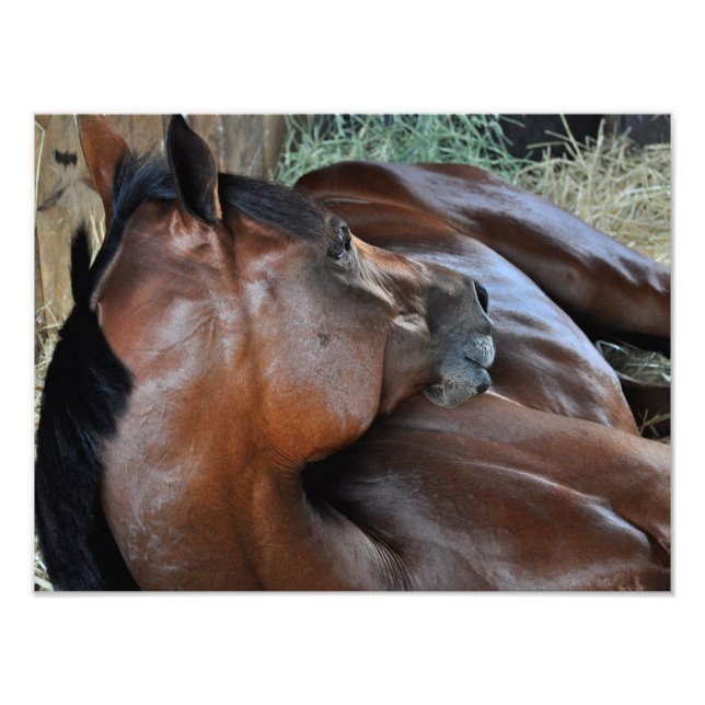 Positiv Royal Fotodruck (Vorne)