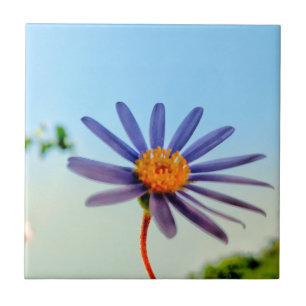 Positive Vibes Wild Soft Blue Blume Fliese