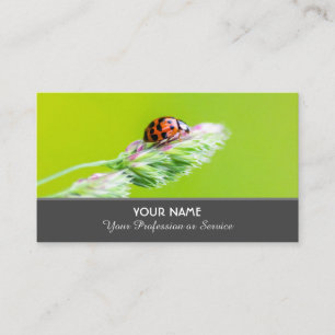 Positiver und glücklicher Ladybug für Zen und Bi Visitenkarte